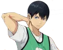 Haikyu Fly High Paket Khusus Pemula